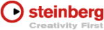 steinberg-creativity-first