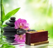 001-Kiseki PurpleHeart N.S.